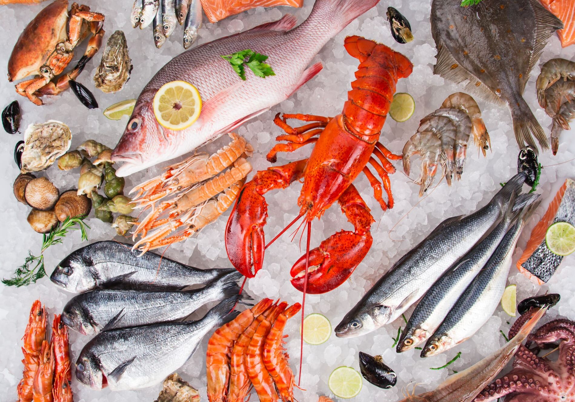 Assorted fresh seafood on ice display.